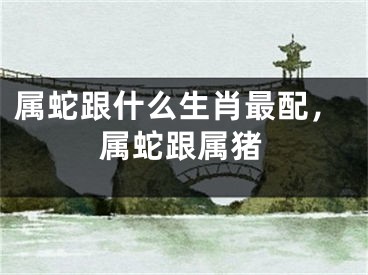 属蛇跟什么生肖最配，属蛇跟属猪