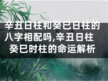辛丑日柱和癸巳日柱的八字相配吗,辛丑日柱癸巳时柱的命运解析