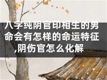 八字纯阴官印相生的男命会有怎样的命运特征,阴伤官怎么化解