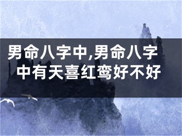 男命八字中,男命八字中有天喜红鸾好不好