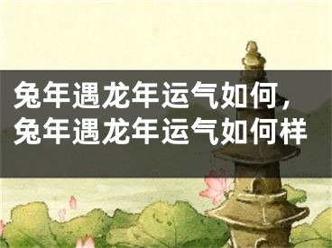 兔年遇龙年运气如何，兔年遇龙年运气如何样