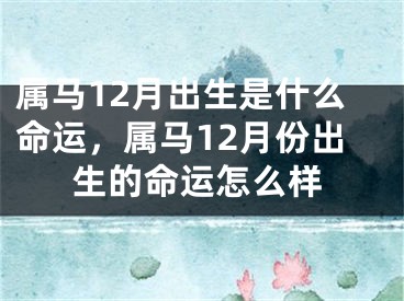 属马12月出生是什么命运,属马12月份出生的命运怎么样