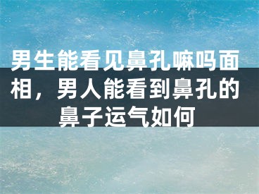 男生能看见鼻孔嘛吗面相，男人能看到鼻孔的鼻子运气如何