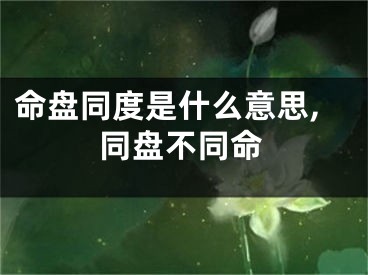命盘同度是什么意思,同盘不同命