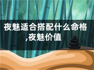 夜魅适合搭配什么命格,夜魅价值