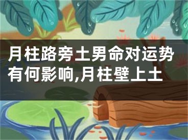 月柱路旁土男命对运势有何影响,月柱壁上土