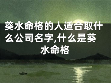 葵水命格的人适合取什么公司名字,什么是葵水命格