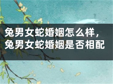 兔男女蛇婚姻怎么样，兔男女蛇婚姻是否相配