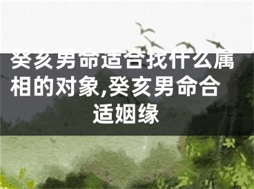 癸亥男命适合找什么属相的对象,癸亥男命合适姻缘