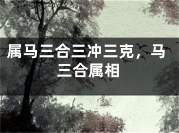 属马三合三冲三克，马三合属相