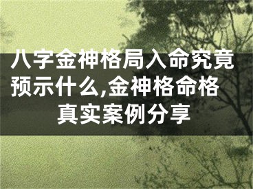 八字金神格局入命究竟预示什么,金神格命格真实案例分享