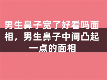男生鼻子宽了好看吗面相，男生鼻子中间凸起一点的面相