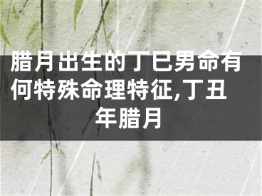 腊月出生的丁巳男命有何特殊命理特征,丁丑年腊月