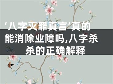 ‘八字灭罪真言’真的能消除业障吗,八字杀杀的正确解释