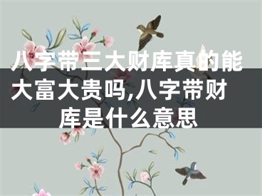 八字带三大财库真的能大富大贵吗,八字带财库是什么意思