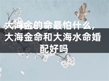 大海金的命最怕什么,大海金命和大海水命婚配好吗