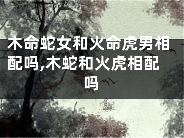 木命蛇女和火命虎男相配吗,木蛇和火虎相配吗