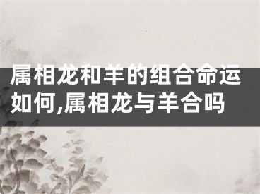 属相龙和羊的组合命运如何,属相龙与羊合吗