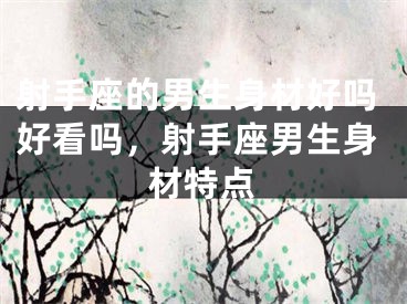 射手座的男生身材好吗好看吗，射手座男生身材特点