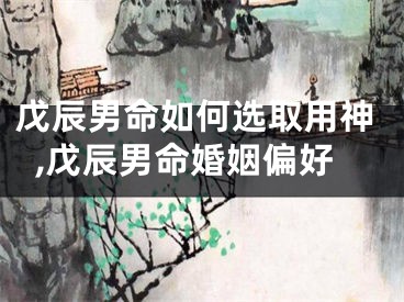 戊辰男命如何选取用神,戊辰男命婚姻偏好