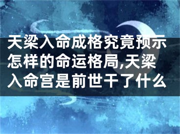 天梁入命成格究竟预示怎样的命运格局,天梁入命宫是前世干了什么