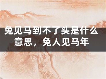 兔见马到不了头是什么意思，兔人见马年