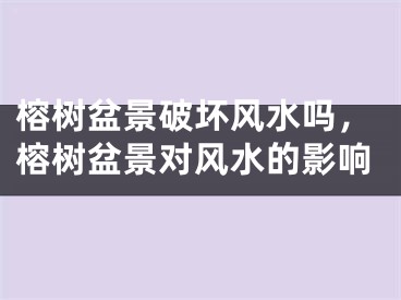 榕树盆景破坏风水吗，榕树盆景对风水的影响