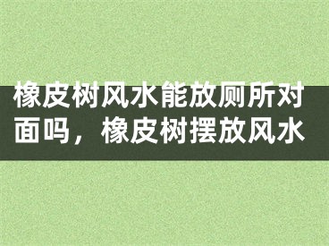 橡皮树风水能放厕所对面吗,橡皮树摆放风水