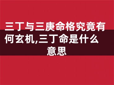 三丁与三庚命格究竟有何玄机,三丁命是什么意思
