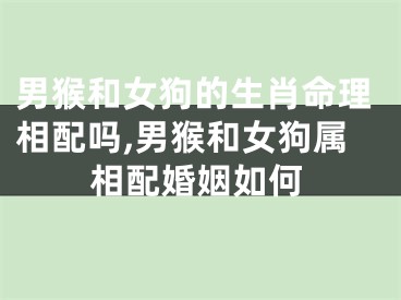 男猴和女狗的生肖命理相配吗,男猴和女狗属相配婚姻如何