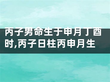 丙子男命生于申月丁酉时,丙子日柱丙申月生