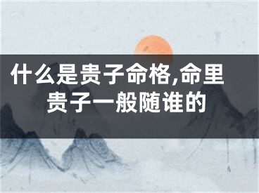 什么是贵子命格,命里贵子一般随谁的