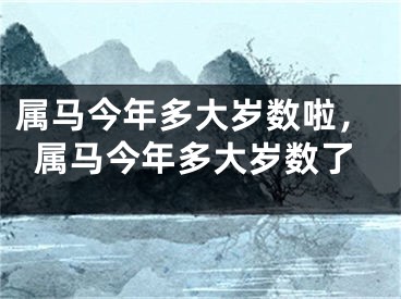 属马今年多大岁数啦，属马今年多大岁数了