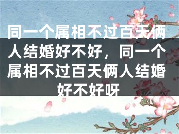 同一个属相不过百天俩人结婚好不好，同一个属相不过百天俩人结婚好不好呀