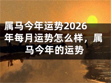 属马今年运势2026年每月运势怎么样，属马今年的运势