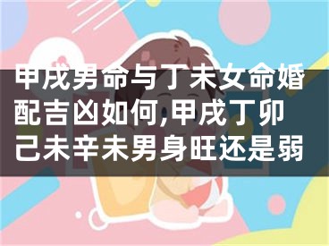 甲戌男命与丁未女命婚配吉凶如何,甲戌丁卯己未辛未男身旺还是弱