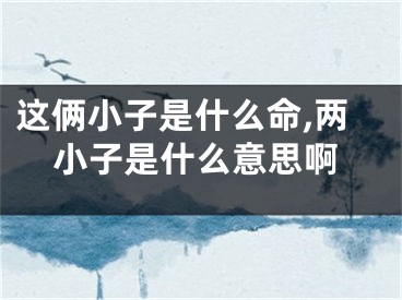 这俩小子是什么命,两小子是什么意思啊