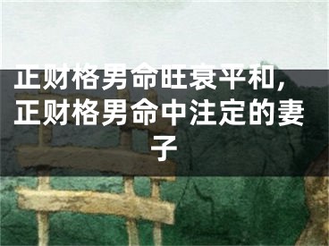 正财格男命旺衰平和,正财格男命中注定的妻子