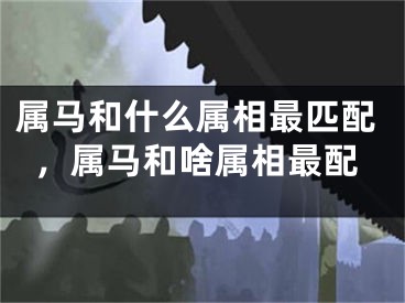 属马和什么属相最匹配，属马和啥属相最配