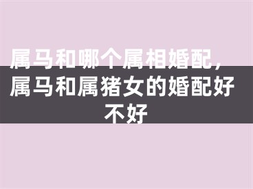 属马和哪个属相婚配，属马和属猪女的婚配好不好