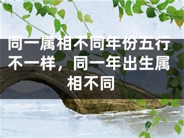 同一属相不同年份五行不一样,同一年出生属相不同