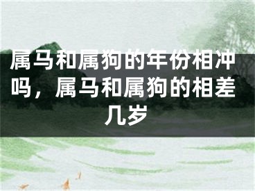 属马和属狗的年份相冲吗，属马和属狗的相差几岁