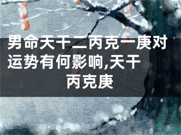男命天干二丙克一庚对运势有何影响,天干 丙克庚