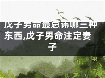 戊子男命最忌讳哪三种东西,戊子男命注定妻子