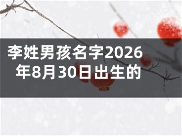 李姓男孩名字2026年8月30日出生的
