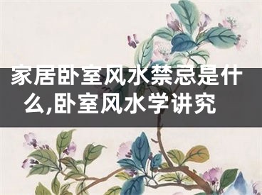 家居卧室风水禁忌是什么,卧室风水学讲究