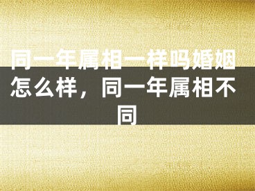 同一年属相一样吗婚姻怎么样，同一年属相不同