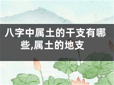 八字中属土的干支有哪些,属土的地支