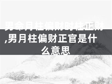 男命月柱偏财时柱正财,男月柱偏财正官是什么意思