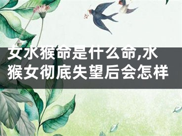 女水猴命是什么命,水猴女彻底失望后会怎样